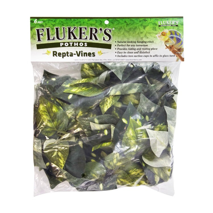 fluker's repta vines pothos Fluker's Pothos Repta-Vines, 6-ft