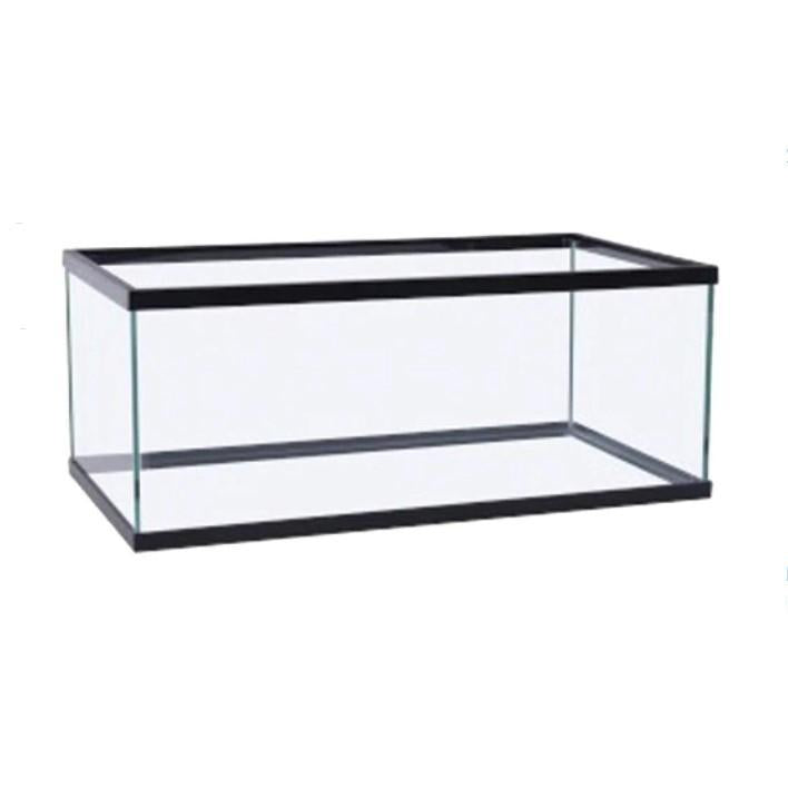 20 gallon long aquarium  20 gallon long aquarium, Aquarium fish