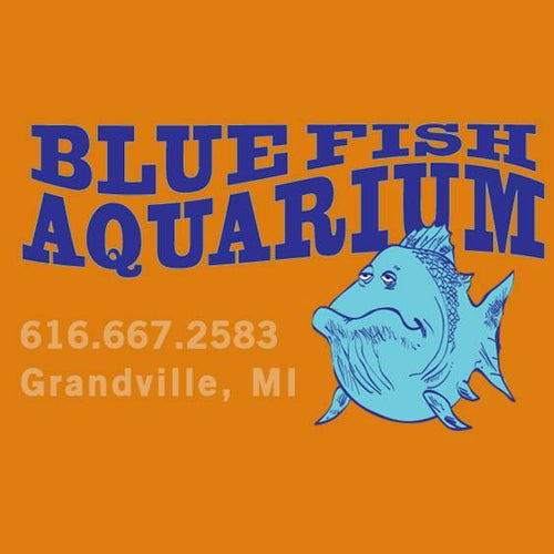 Blue Fish Aquarium Online Gift Card