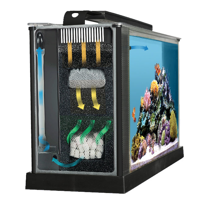Fluval EVO V Saltwater Aquarium Kit 5 Gallon