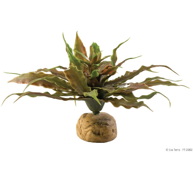plastic vivarium plants Exo Terra Star Cactus Terrarium Plant