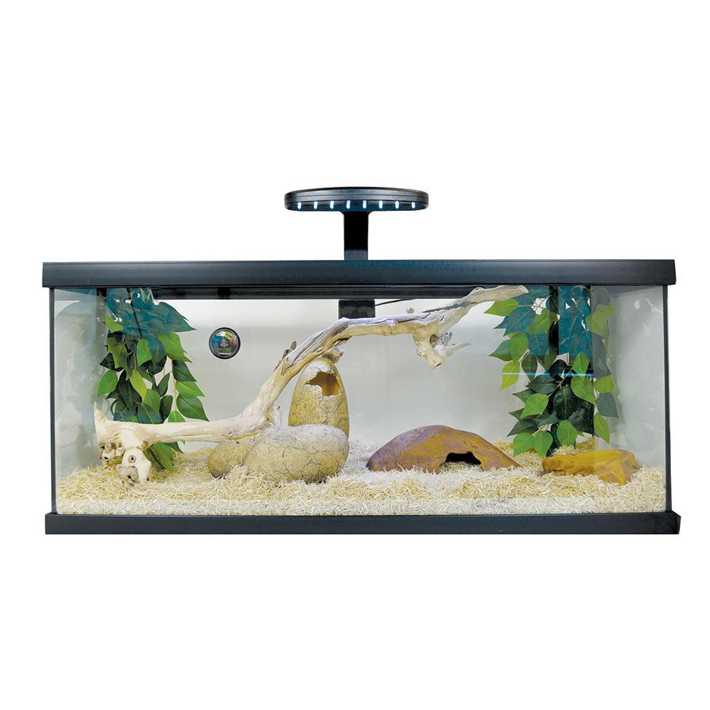 snake vivarium plants Exo Terra Snake Starter Kit 20 GAL
