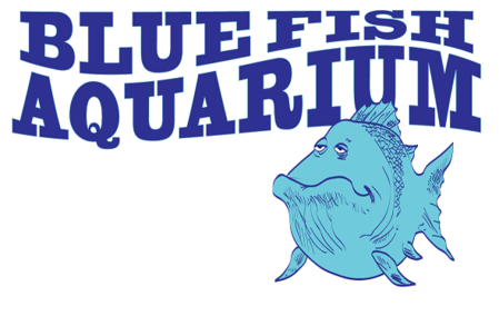 Seachem Purigen - The Best Organic Impurity Remover on the Market! -  Grandville, MI - Blue Fish Aquarium