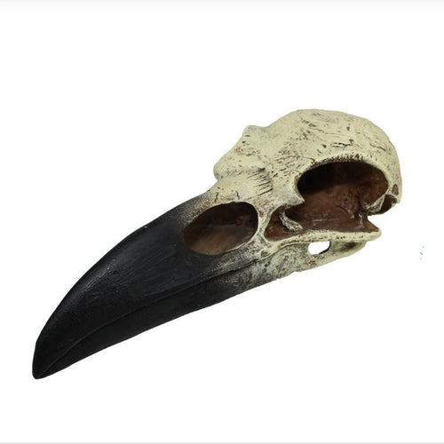 Komodo Ornament Raven Skull