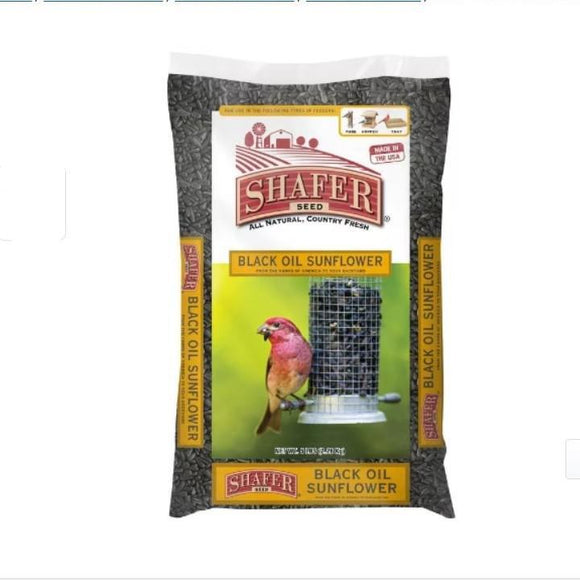 070805510264 Shafer black oil sunflower bird seed