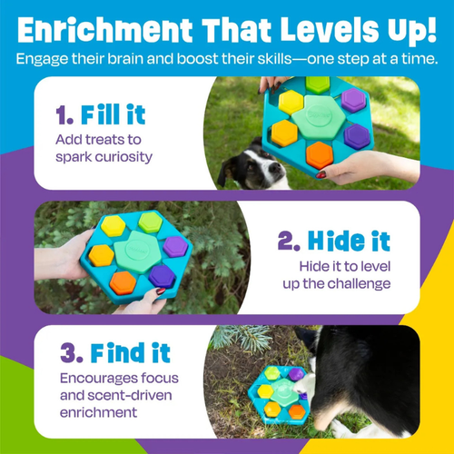 Brightkins Spin & Seek Hexagon Treat Puzzle