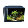 Fluval Kühl Aquarium Kit 2.1 Gallon