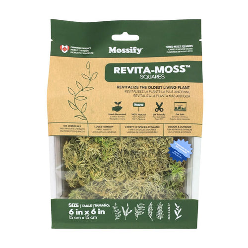 Mossify Revita-Moss - Sphagnum Moss Square