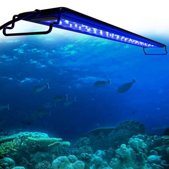 Aquatop Skyaqua Blue Actinic LED Aquarium Light 12-18 in - Grandville ...
