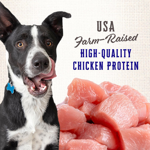 Wholesomes Rewards Puppy Variety Biscuits - Chicken Dog Treats 2 lb