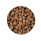 Earthborn Holistic Unrefined Smoked Salmon & Ancient Grains Dry Dog Food for All Life Stages