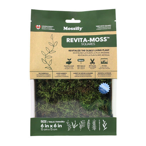 Mossify Revita-Moss - Natural Canadian Forest Moss Square