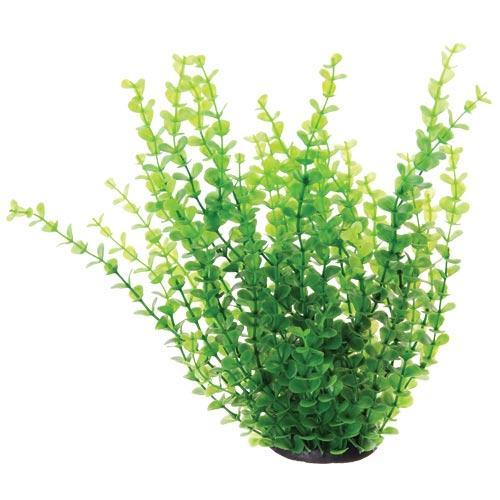 Artificial Plant Bushy Moneywort