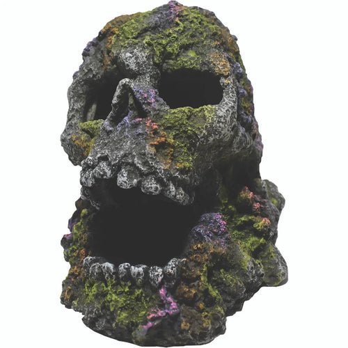 Ornament Mossy Skull