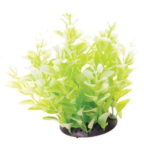 Artificial Plant White Tipped Cardamine