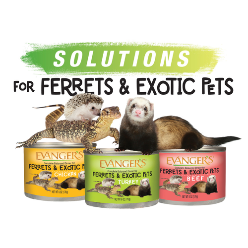 Evanger's Turkey Dinner for Ferrets & Exotic Pets - Ideal for Obligate Carnivores