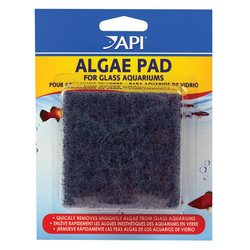 API Algae Scraper Pad - Glass Cleaner