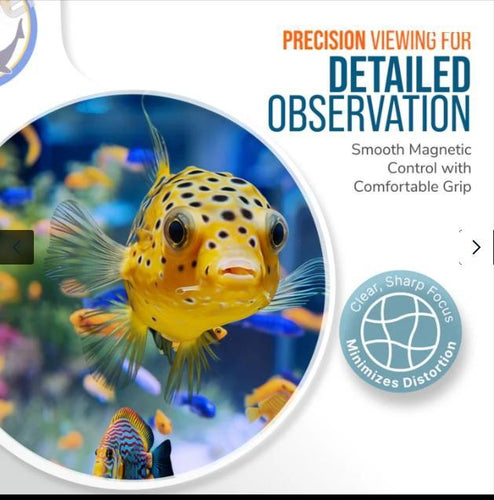 Flipper DeepSee Viewer Clear 4