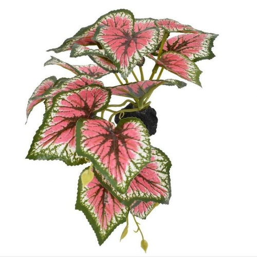 Komodo Plastic Terrarium Plant - Caladium Plant