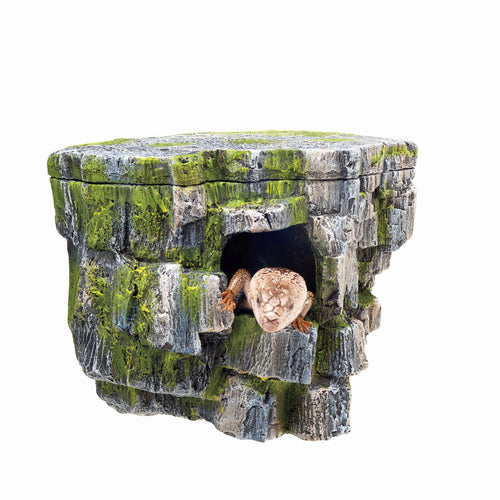 Zilla Vertical Rock Cave