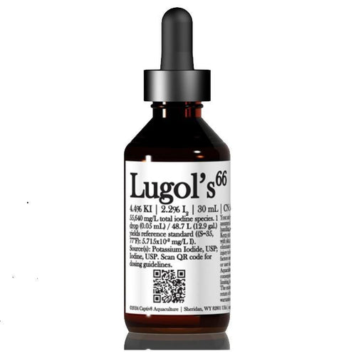 Captiv8 Reef BluePrint - Lugol;s 66 Solution 30mL