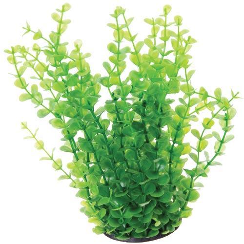 Artificial Plant Bushy Moneywort