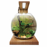Fluval LIV Microscaping Aquarium Kit 1.6 Gallon - Teak