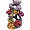 Ornament Rock & Coral Swim Through