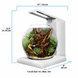 Fluval LIV Microscaping Aquarium Kit 1.6 Gallon - White