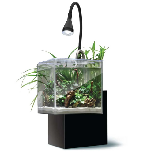 Fluval Kühl Aquarium Kit 2.1 Gallon