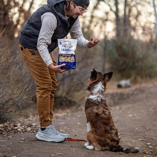 Wholesomes Rewards Puppy Originals Biscuits - Chicken Dog Treats 2 lb
