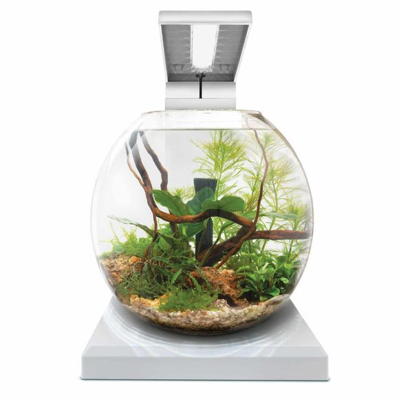 Fluval LIV Microscaping Aquarium Kit 1.6 Gallon - White