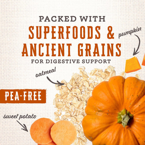 Wholesomes Gourmet Rewards Cheezy Bites Biscuits - Cheddar Cheese Dog Treats 3 lb