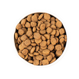 Earthborn Holistic Unrefined Roasted Lamb & Ancient Grains Dry Dog Food