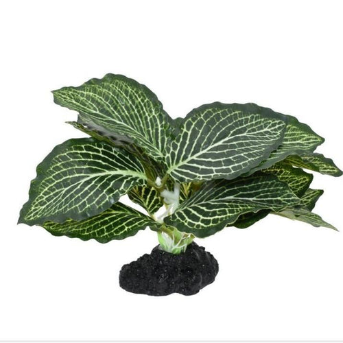 Komodo Plastic Terrarium Plant - Silver Vein Plant