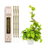 Mossify Bendable Thin Moss Poles 30 inch, 3 Pack