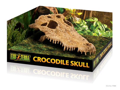 Exo Terra Crocodile Skull  Hideout