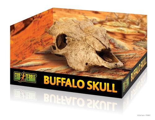 Exo Terra Buffalo Skull  Hideout