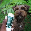 Pet Releaf Skin and Paw Releaf Topical CBD for Cats & Dogs