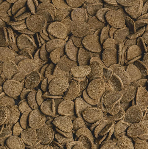 Sera Vipachips Sinking Carnivore Wafers