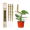 Mossify Bendable Thin Moss Poles 16 inch, 3 Pack