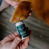 Pet Releaf Skin and Paw Releaf Topical CBD for Cats & Dogs
