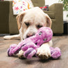 Kong SoftSeas Octopus Dog Toy