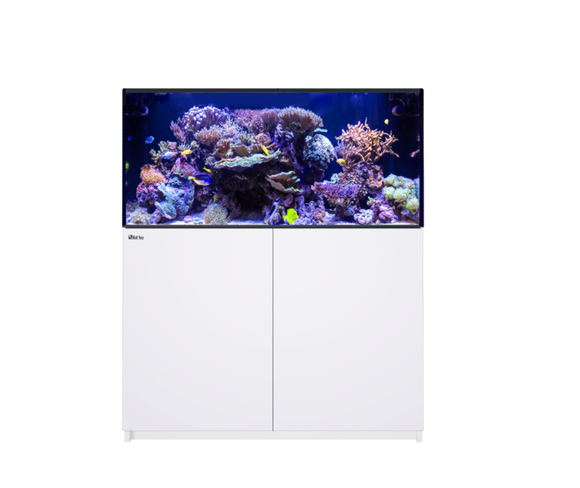 Red Sea REEFER 425 G3 Versatile, Rimless, Sumped Reef System