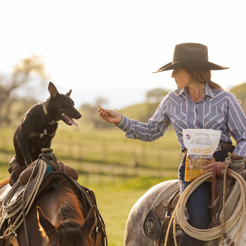 Wholesomes Gourmet Rewards Nut'R'Nipz Biscuits - Peanut Butter Dog Treats 2 lb