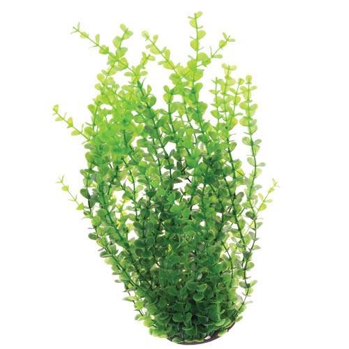 Artificial Plant Bushy Moneywort