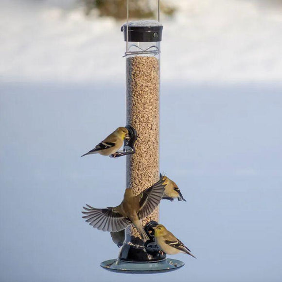 Droll Yankees Onyx Clever Clean & Fill Thistle / Nyjer Bird Feeder CC18N