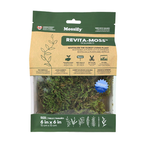 Mossify Revita-Moss - Dicranum Mood Moss Square
