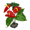 Komodo Plastic Terrarium Plant - Anthurium Bush