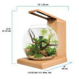 Fluval LIV Microscaping Aquarium Kit 1.6 Gallon - Teak